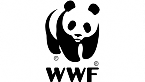 Covid-19: WWF alerta para risco de novas pandemias