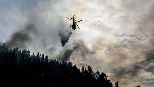 Incêndios: Dois meios aéreos de combate disponíveis a partir de sábado na região de Leiria