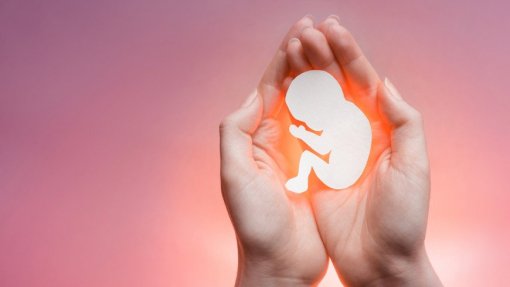 Parlamento quer progenitores mais protegidos em caso de perda gestacional