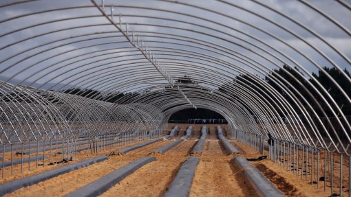 No Sudoeste, turismo e agricultura podiam viver em paz mas &quot;o paraíso acabou&quot;