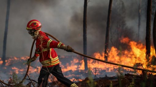 Incêndios: Quase 120 operacionais e oito meios aéreos combatem fogo em Odemira