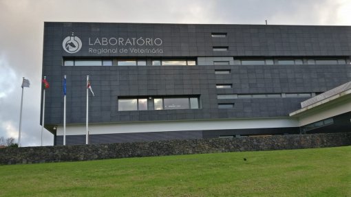 Laboratório de Veterinária dos Açores fez em 2020 mais de um milhão de análises