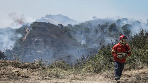 Incêndios: Tavira e São Brás de Alportel no distrito de Faro em risco máximo