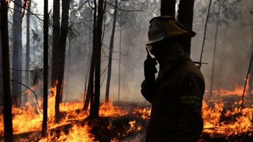 Incêndios: Área ardida no primerio semestre é a quarta maior desde 2011