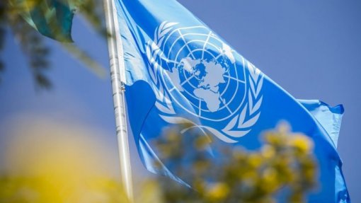 Mais de 190 países assinam tratado da ONU contra biopirataria