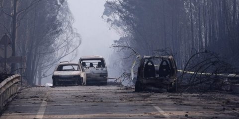 Pedrógão Grande: Sete anos depois do trágico incêndio muito falta fazer no terreno