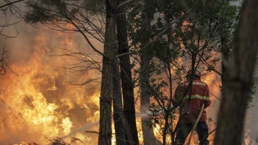 Oito concelhos de Faro em perigo máximo de incêndio rural