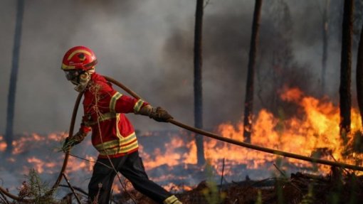 Cerca de 40 concelhos de sete distritos em perigo máximo de incêndio