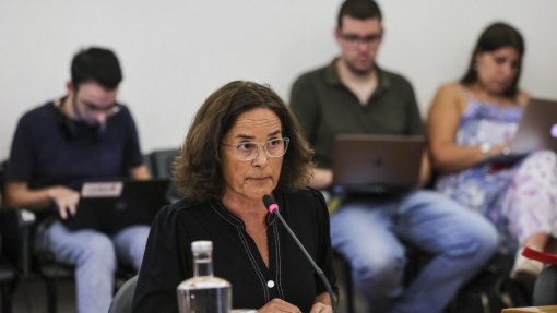 Caso gémeas: Maria João Ruela diz que houve “um lapso” na informação transmitida ao PR em dezembro