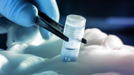 Conselho de Ética recomenda criopreservação de embriões sobrantes