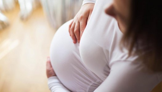 DGS faz recomendações aos profissionais de saúde sobre efeito do parvovírus em grávidas