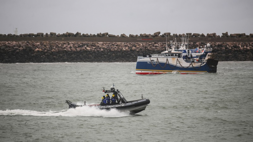 Pesca mata acidentalmente 200 mil aves marinhas por ano na Europa