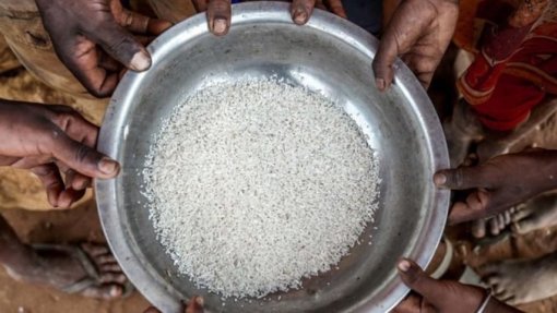 Coreia do Sul doa arroz para ajudar crianças na Guiné-Bissau, Serra Leoa e Mauritânia