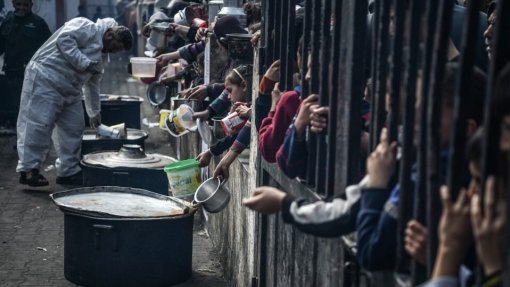 Médio Oriente: ONU pede pausas nos combates em Gaza para vacinar crianças