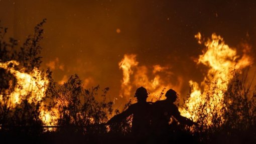 Proteção Civil avisa para risco elevado de incêndios e para medidas preventivas