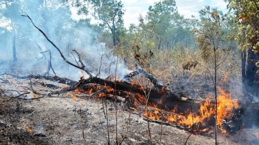 Agosto é já o mês com mais área ardida em 2024