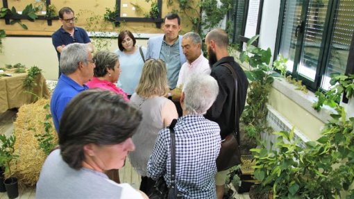 Congresso de Medicina Popular Vilar de Perdizes candidato ao Património Imaterial