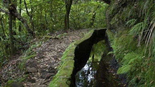 Derrocada provoca um morto numa levada no norte da ilha da Madeira