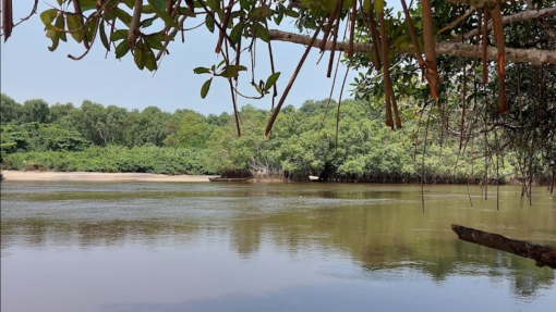 Autoridades suspendem acesso a lago angolano por suspeitas de contaminação