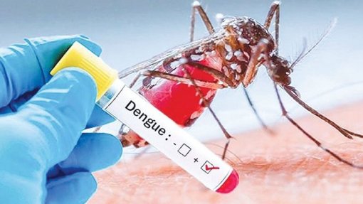 Brasil ultrapassa 6,5 milhões de casos prováveis de dengue este ano