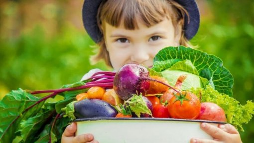 Escolas podem inscrever-se em projeto que já melhorou alimentação de 740.926 crianças