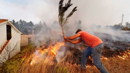 Incêndios: DGS emite recomendações sobre o que fazer em caso de exposição ao fumo