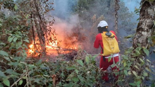 Incêndios: Sociedade de Pneumologia divulga medidas de proteção para doentes crónicos