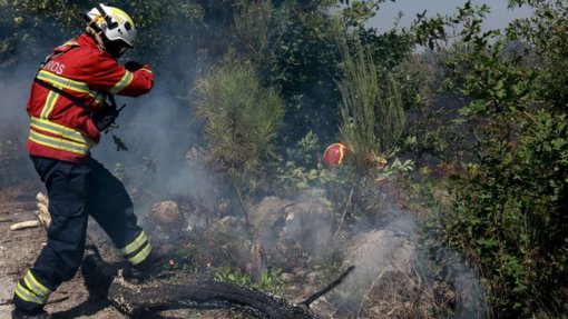 Incêndios: Tábua ativou Plano Municipal de Emergência