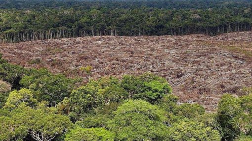 ONG denuncia “destruição química” do Pantanal por produtores de carne do Brasil