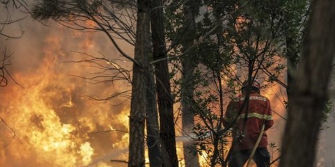 Incêndios: Área ardida em Amarante foi de cerca de 5.000 hectares