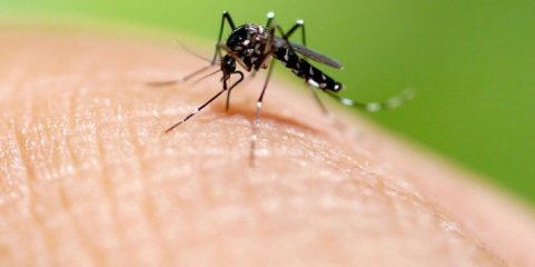 Cabo Verde regista duas mortes provocadas por dengue