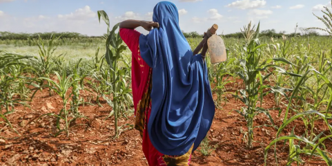 Fome pode agravar-se na Somália à medida que se aproxima o fenómeno La Niña - ONU