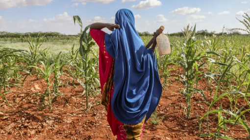 Fome pode agravar-se na Somália à medida que se aproxima o fenómeno La Niña - ONU