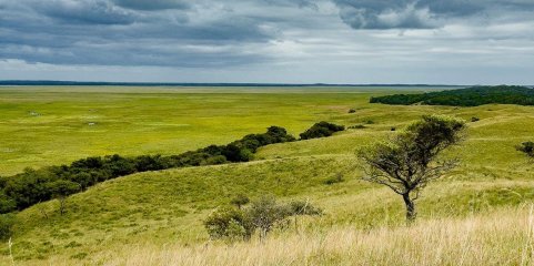 Parques e áreas protegidas de Moçambique com recorde de receitas de 3,2ME em 2023