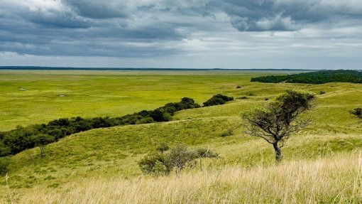 Parques e áreas protegidas de Moçambique com recorde de receitas de 3,2ME em 2023