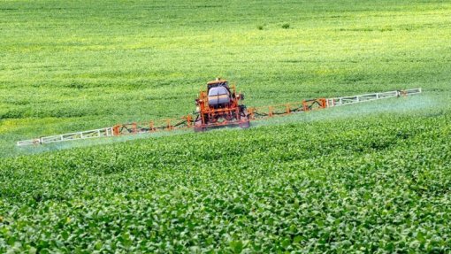 Mais de 90% rejeita uso de glifosato em Coimbra em inquérito lançado pela Câmara