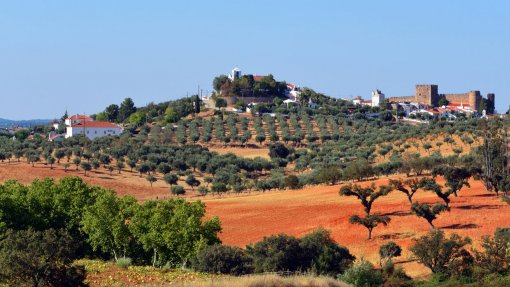 ALENTEJO: Alentejo 2030 com apoios para recursos hídricos e preservação dos ecossistemas de paisagem