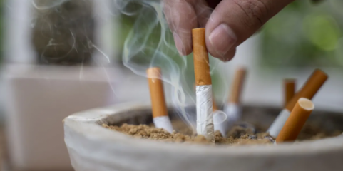 OE2025: Não aumentar impostos sobre álcool e tabaco é “irresponsabilidade política” - médicos