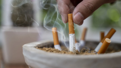 OE2025: Não aumentar impostos sobre álcool e tabaco é “irresponsabilidade política” - médicos