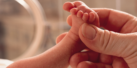 Ampliação da unidade de neonatologia do hospital de Santa Maria avança este ano