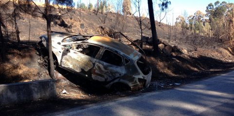 Alterações climáticas aumentam número de mortes por fumo gerado por incêndios - Estudo