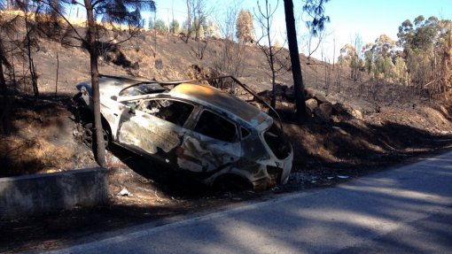 Alterações climáticas aumentam número de mortes por fumo gerado por incêndios - Estudo