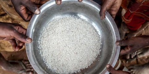 Insegurança alimentar ameaça 20 mil pessoas em distrito no sul de Moçambique