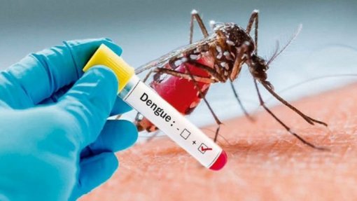 Cabo Verde anuncia quinta morte por dengue