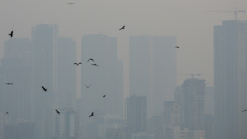 Escolas primárias de Nova Deli encerradas devido à poluição atmosférica