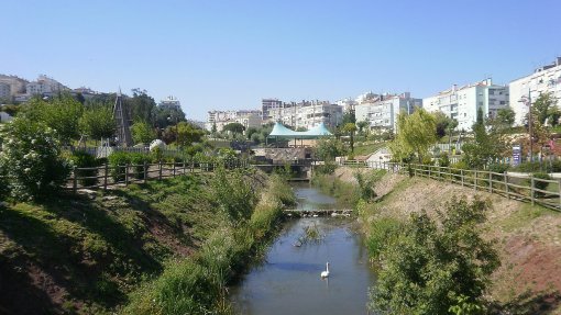 Estudo revela que ribeiras urbanas estão poluídas por fármacos