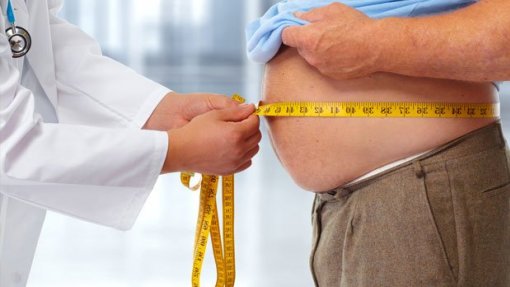 Memória da obesidade está registada nas células