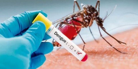 Total de mortes sobe para sete após um ano de dengue em Cabo Verde