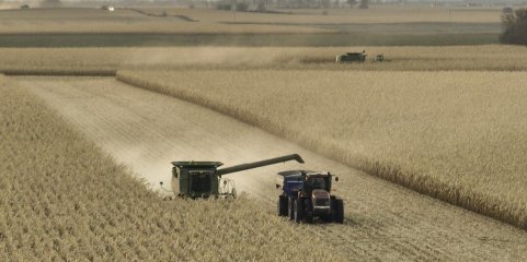 Ucrânia: Portugal contribui com 2ME para escoamento de cereais destinados aos PALOP