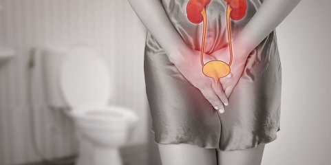 Estudos da Universidade de Aveiro validam terapia fágica em infeções urinárias